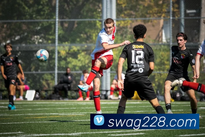 SWAG娱乐城官网平台生态图